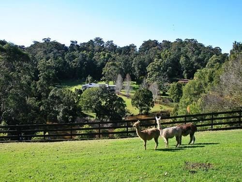 The Acreage Boutique Guesthouse North Avoca Exterior photo